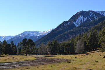 Road, trees and mountains.