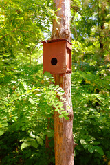 Birdhouse wooden on the tree. House for birds do it yourself.