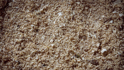 wood shavings background, wood texture close-up