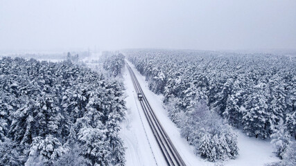 snow covered road in winter forest
