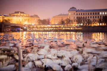 Praga © Pawel Sulatycki