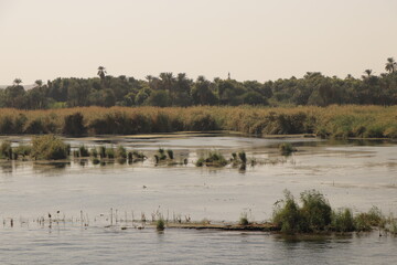landscape on the bank river of the nile