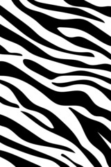 Black and white background. Zebra background. Abstract background, wallpaper, poster, cover, postcard, card