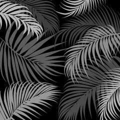Gray tropical leaves