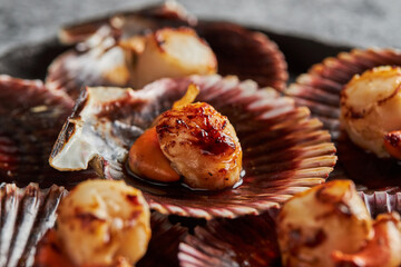 Delicious scallops served on shells against concrete table