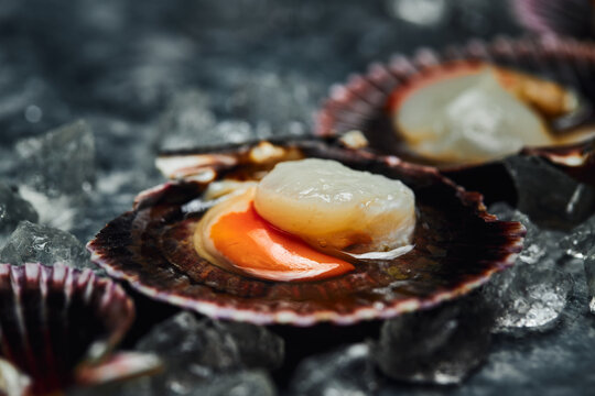 Delicious scallops served on shells against dark table
