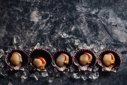 Delicious scallops served on shells against dark table