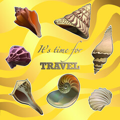 Seashell collection on sand background. Vector illustration.