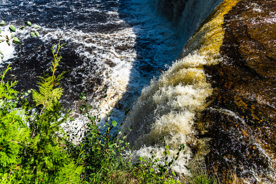 Waterfall Drop-off - Powerful Water Flowing Into the River with bush branch- Tahquamenon Falls Northern Michigan Late Summer.  