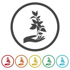 Plant in hand of environmental protection icon isolated on white background, color set