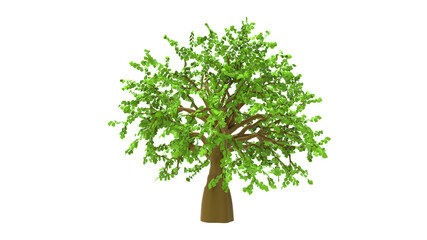 oak tree with heave leaf without shadow 3d render