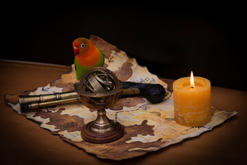 Agapornis fischeri on a pirate map with a candle, atrolabe and a pistol
