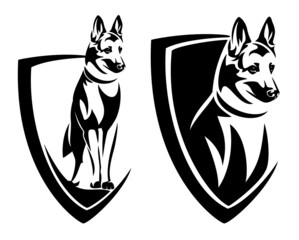 standing german shepherd or belgian malinois head and simple heraldic shield - guard dog insignia badge modern black and white vector design - obrazy, fototapety, plakaty