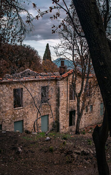 Abandoned house in the middle of the forest.