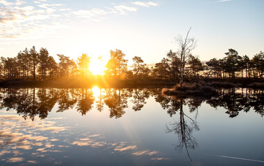 Fototapeta na wymiar gorgeous sunrise on a bog lake in estonia