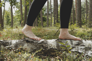 Woman is walking barefoot on birch tree trunk in forest area. Mindful walk and nature connection.