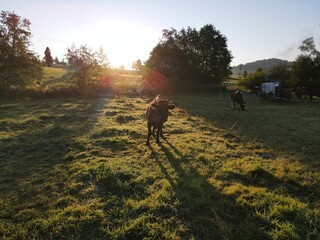 Z drona © RASSUMSEN