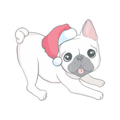 Fototapeta premium Christmas card. Image Portrait of French bulldog in Santa hats.
