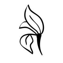 Sketch branch of leaves by hand on an isolated background