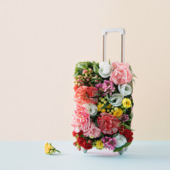 Obraz premium Travel suitcase arranged with bloomy flowers, buds and green leaves. On pastel pink and bright blue background. Creative idea. Travel or vacation concept. Minimal style.