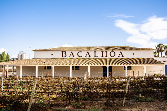 Bacalhoa winery building with vineyards in the foreground in Azeitao, Portugal