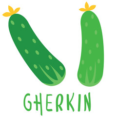 green cucumber on white background