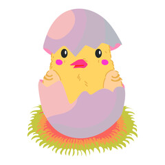 Chicken hatching stages. Newborn little cute chick, small baby bird emergence from egg, cracked shell in laying hens nest. Easter chicks concept. Funny domestic animal vector 