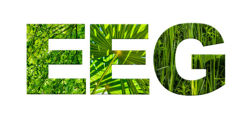 EEG Erneuerbare-Energien-Gesetz