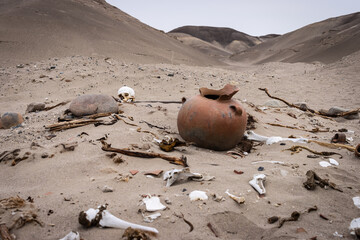 pre inca skulls on a profaned cemetery in Nasca Nazca Cahuachi. The skin and hair still on the death mans. there are ancient bones, ceramics and textile relics. 
