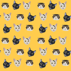Cute cats portraits of different colours and breeds on yellow background. Vector hand drawn realistic seamless pattern. Graphics for cats lovers