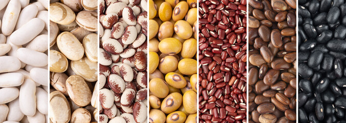Collage of assorted beans. White, yellow, azuki, brown, rajado and black uncooked beans in...