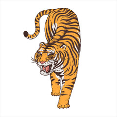 Obraz premium Tiger climbing down. Vintage illustration with wild cat. Hand drawn vector illustration.