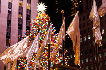 NEW YORK CITY, USA  - DECEMBER 9TH 2021: people enjoying holiday lights and Christmas Displays at...