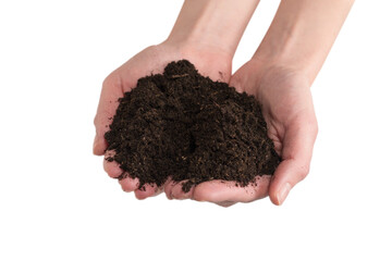Brown soil in woman hands isolated on white.