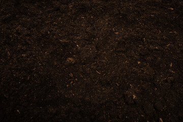 Woman hand trace on a ground.