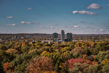 Apartment towers rise out of a vista of suburban forest changing colour on  a sunny fall afternoon under a bright blue sky