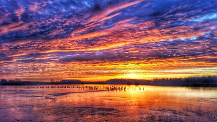 Fototapeta na wymiar Sunrise Ducks on Ice
