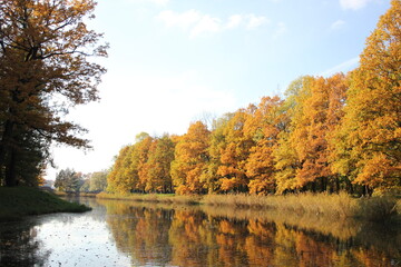 Russia, Pushkin. Park on a sunny summer autumn day. Yellow foliage on a tree, pond, green grass and blue sky.