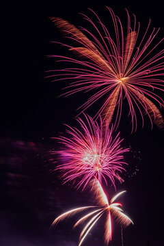 Feathery fireworks photo. 