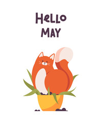 Card hello may with a cat, isolated on white background