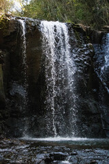 cascada en piedra oscura con vegetacion alrededor