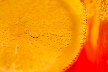Macro Bubbles