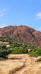 Corsica is the fourth-largest island in the Mediterranean and lies southeast of the French mainland.