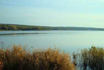 View on the river and forest, Ukraine