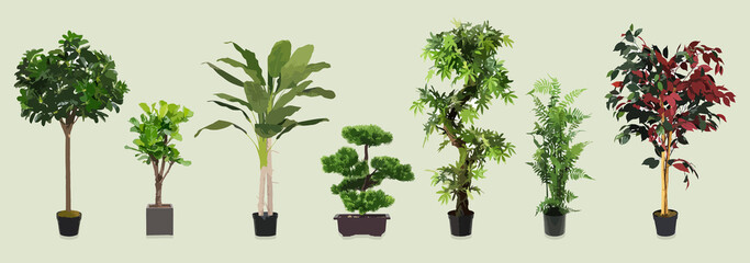 ensemble de plantes et arbres en pot