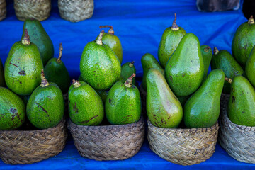 Selling avocados in the market.
