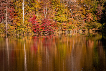 Fall, Autumn.colors reflect in mountain lake in Transvlvania County