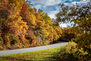 Fototapeta premium Orange, reds and yellows dominate the roadsides in autumn on the Blue Ridge Parkway