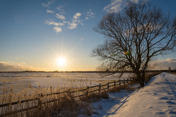 Fototapeta na wymiar Sunrise in the frozen reserve. 