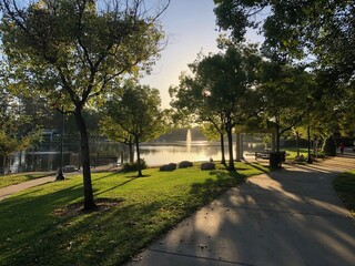 Park setting with the sun rays coming through the trees. 